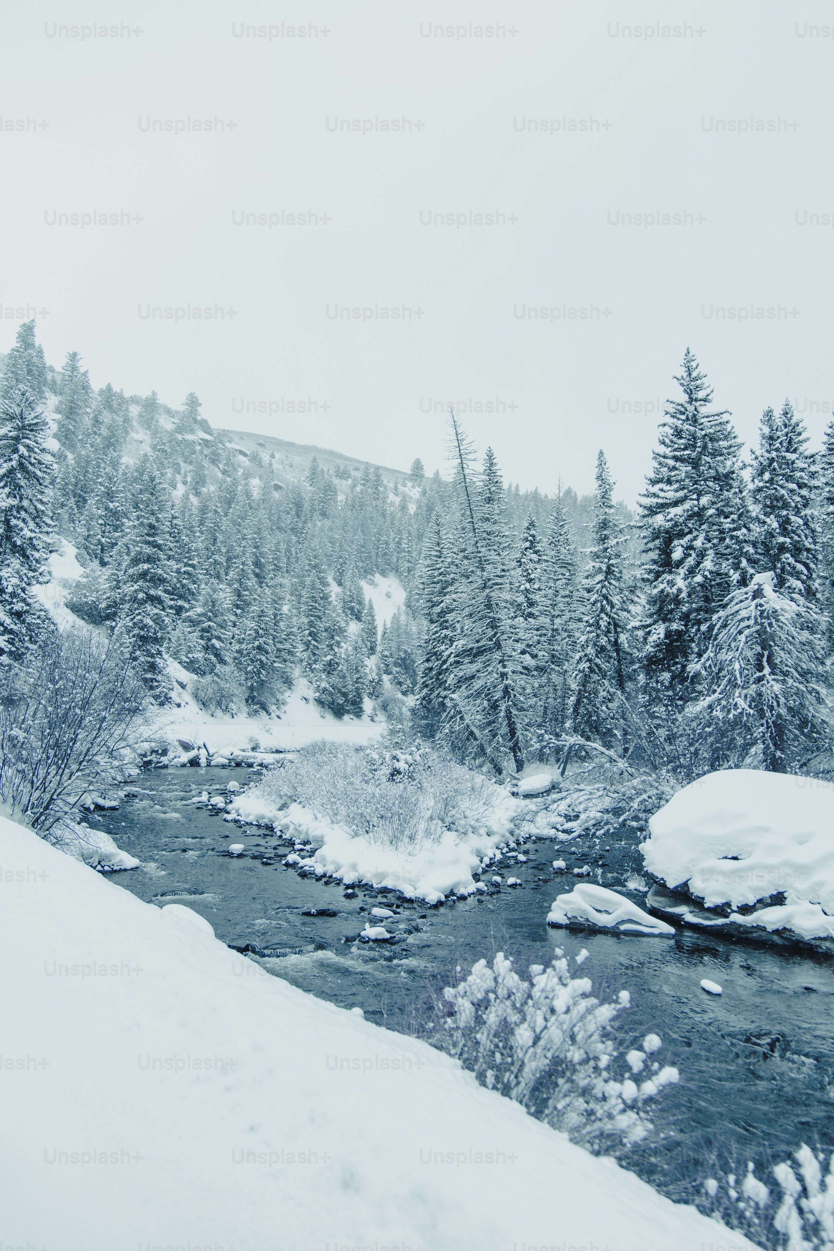 a snowy landscape with trees