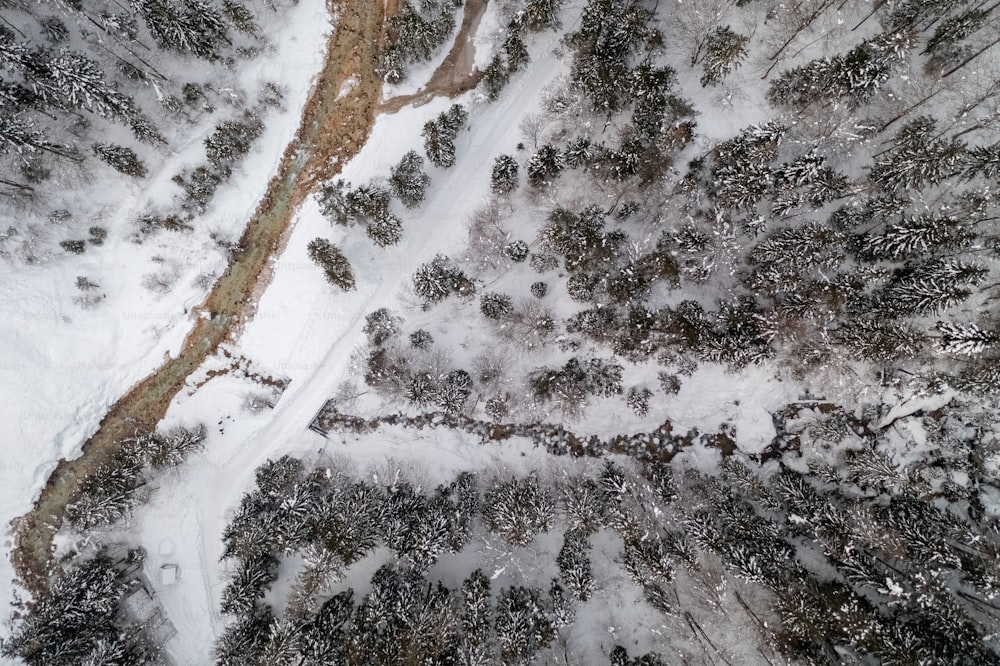 a close-up of a mountain