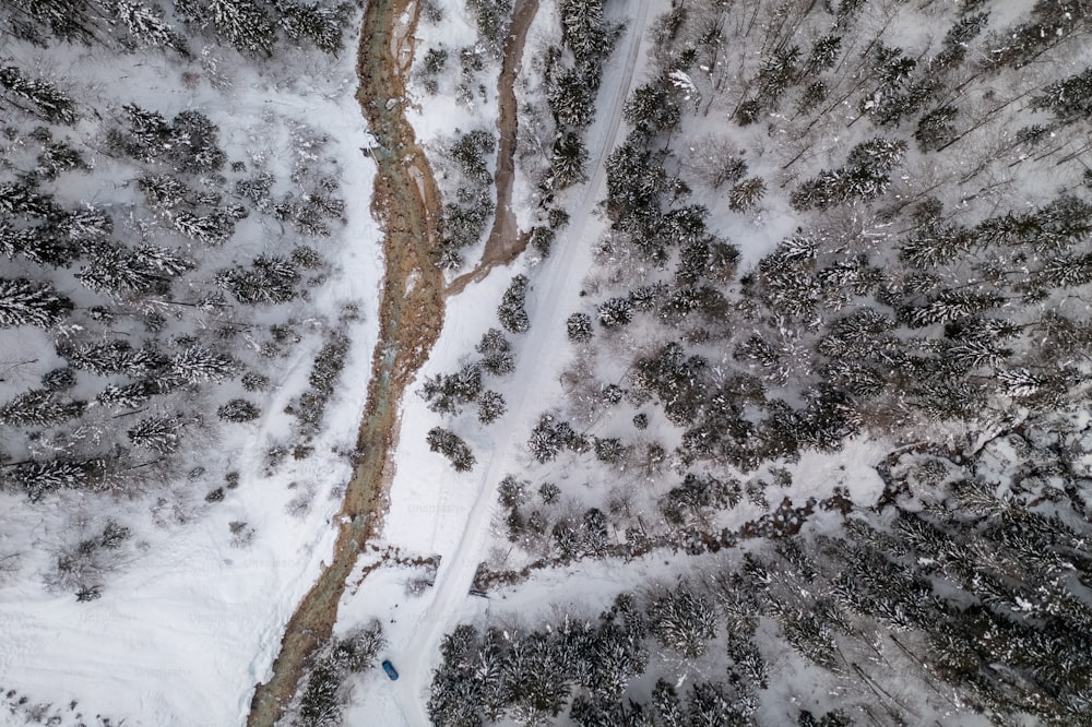 a snowy mountain side