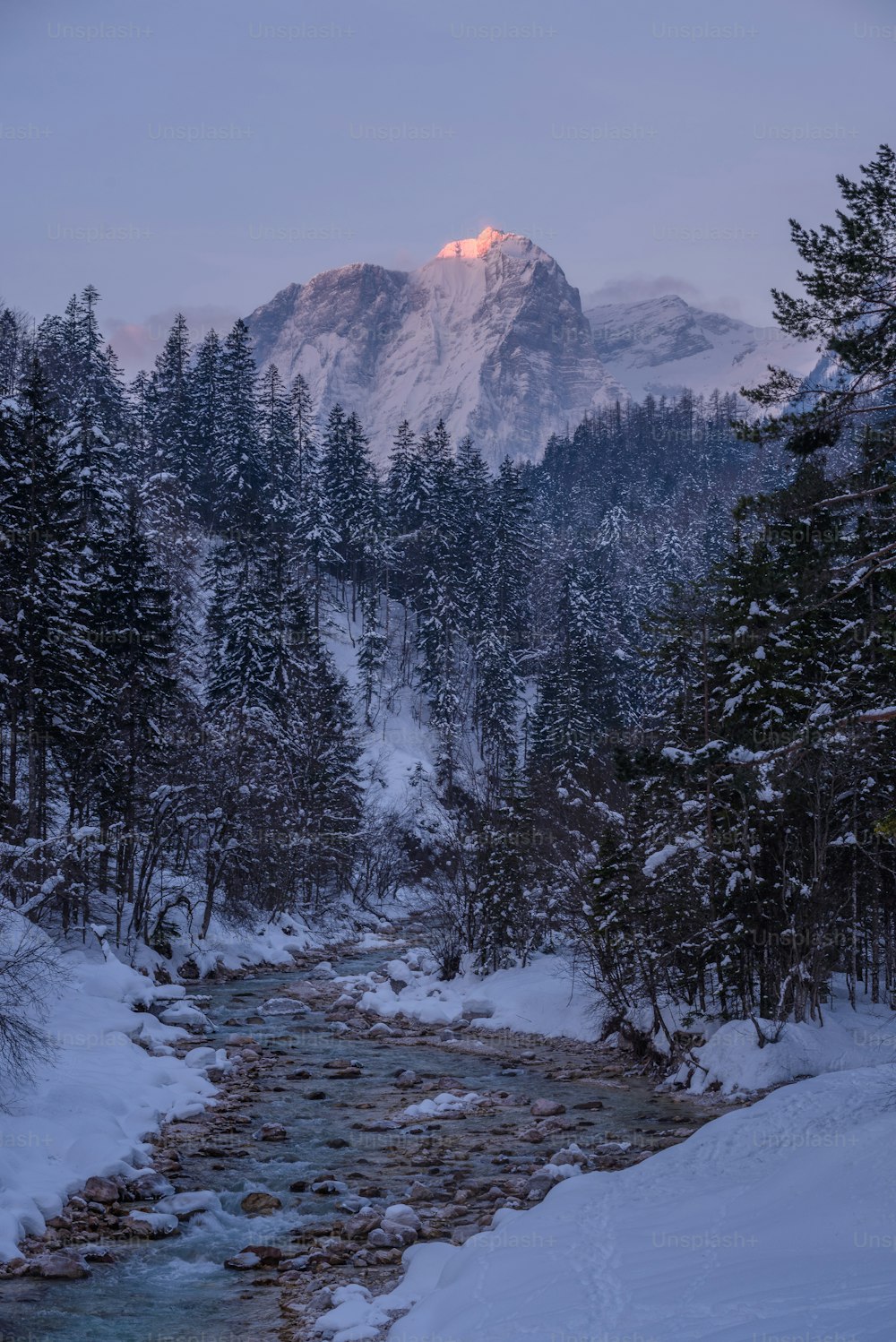 a snowy mountain with trees and a fire in the distance