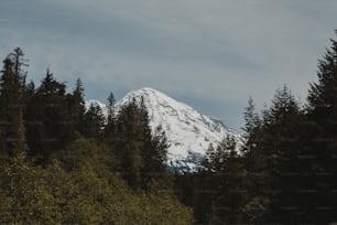 Ein schneebedeckter Berg mit Bäumen
