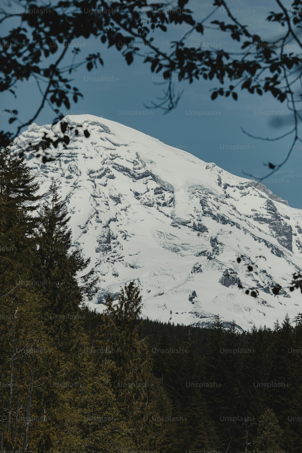 木々のある雪山