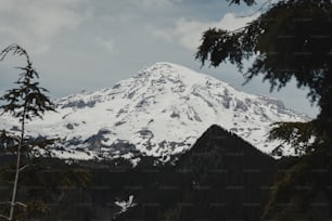 a snowy mountain with trees