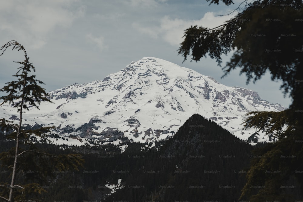 a snowy mountain with trees