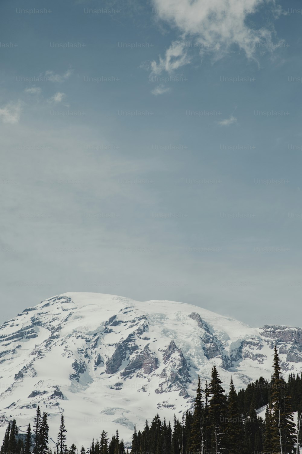 a snowy mountain with trees