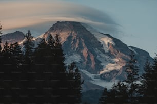uma montanha nevada com árvores