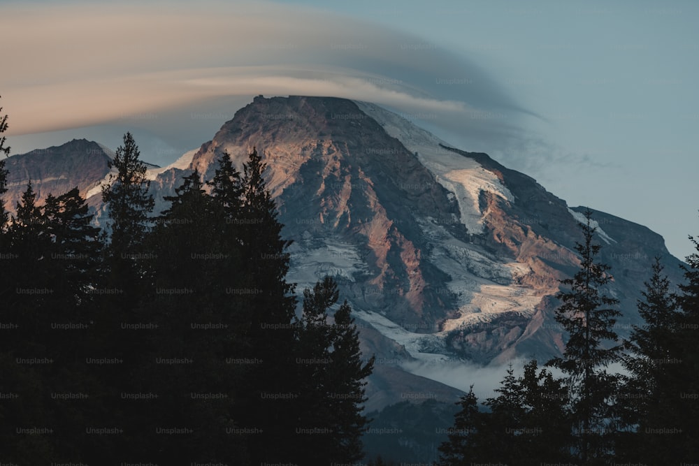 a snowy mountain with trees