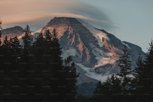 Ein schneebedeckter Berg mit Bäumen