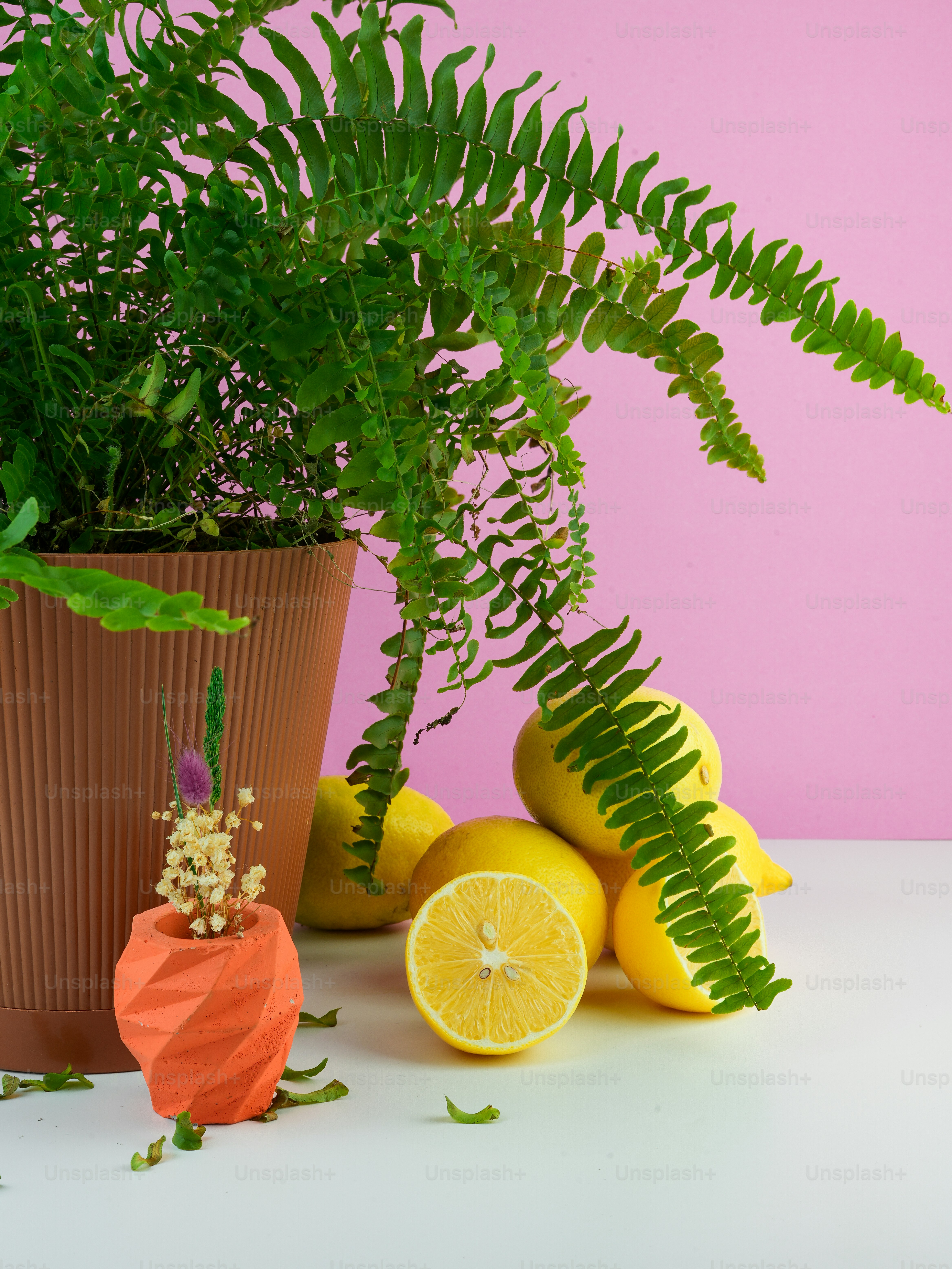 un citron et une fleur