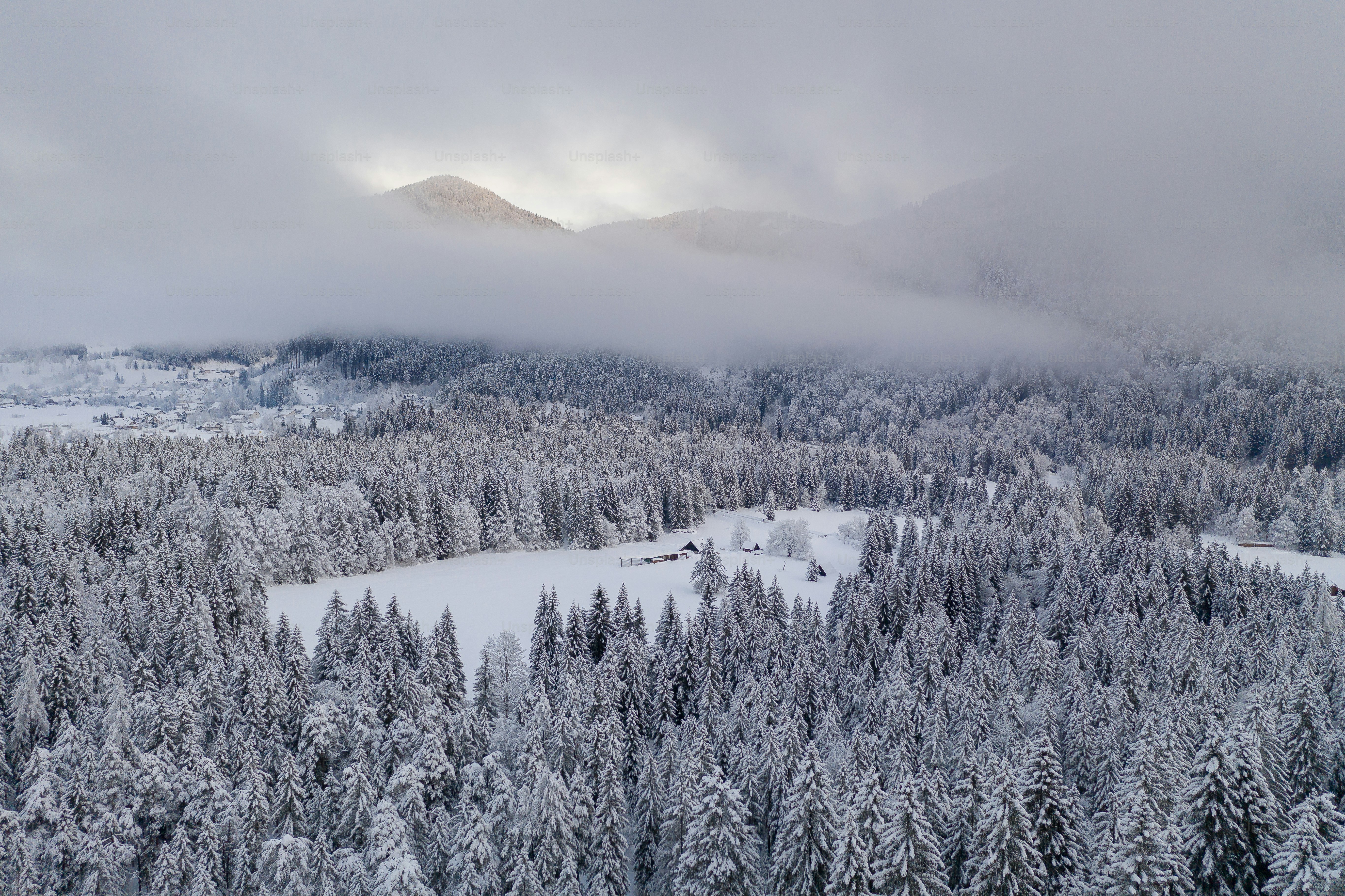a snowy landscape with trees