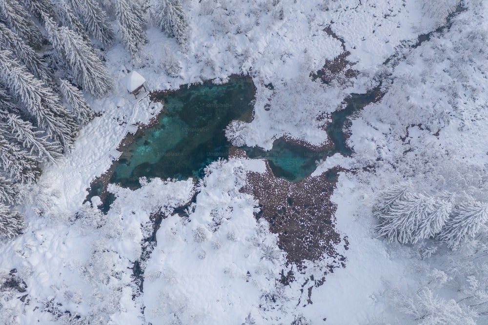 Un'immagine satellitare della Terra