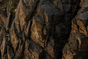 a close-up of a rock