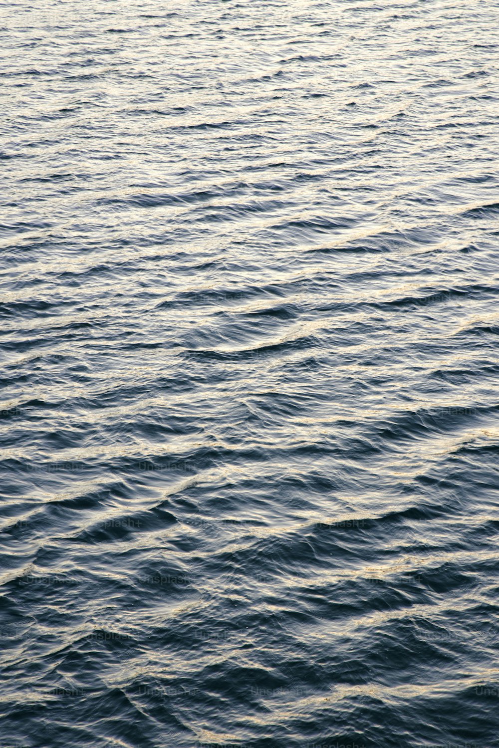 a body of water with waves