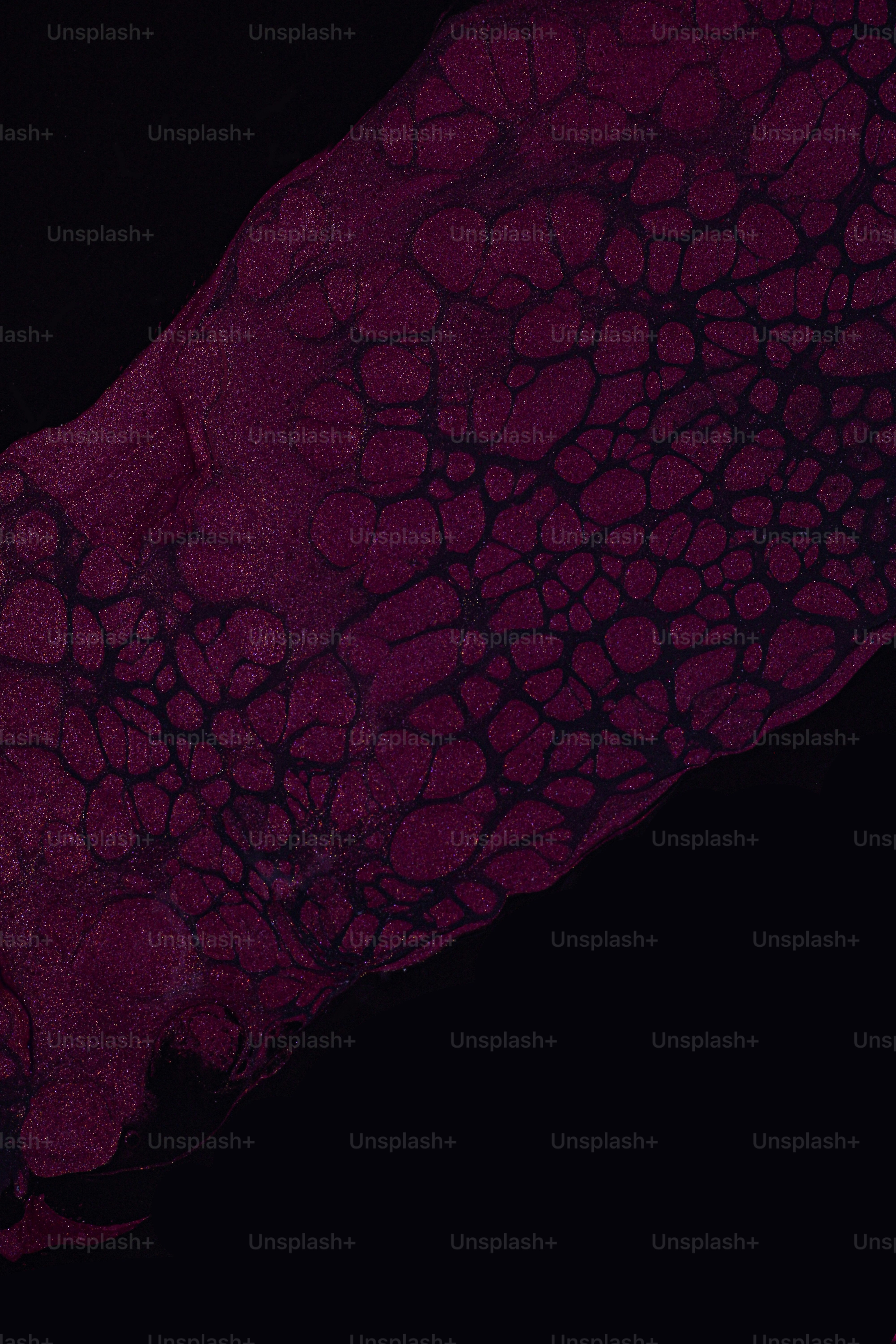 a close-up of a brain