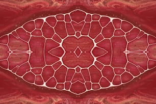 a red and white patterned pillow
