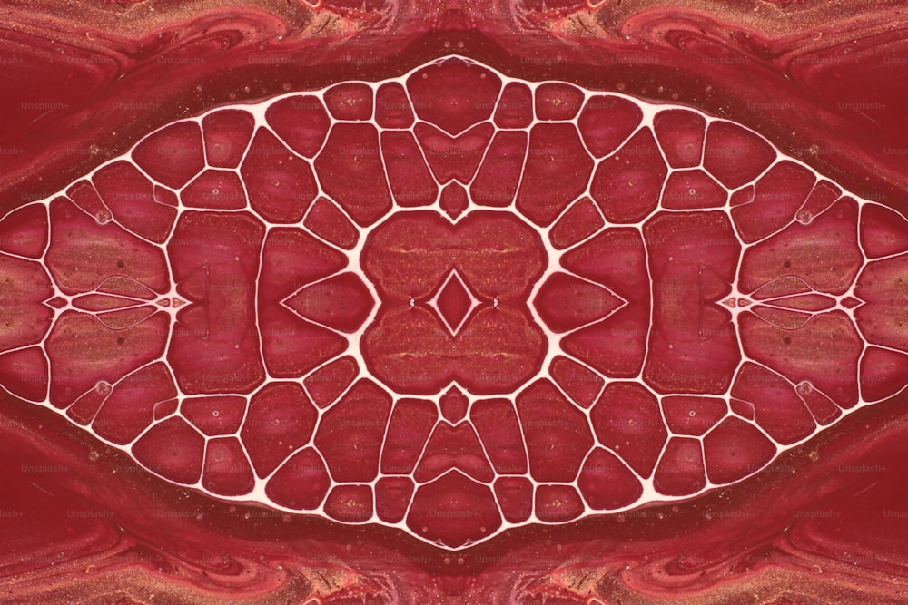 una almohada estampada en rojo y blanco