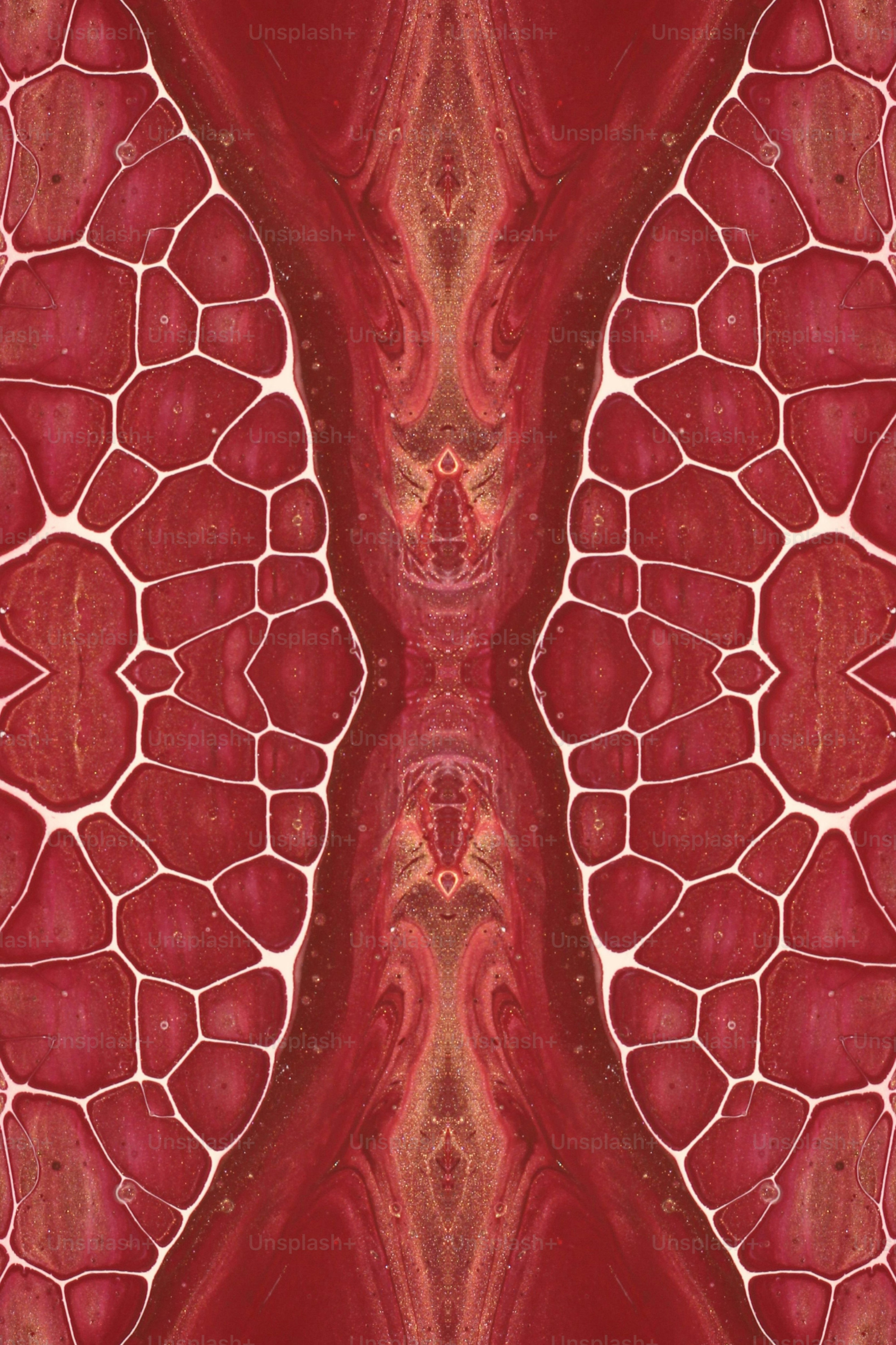 a close up of a red and black fabric