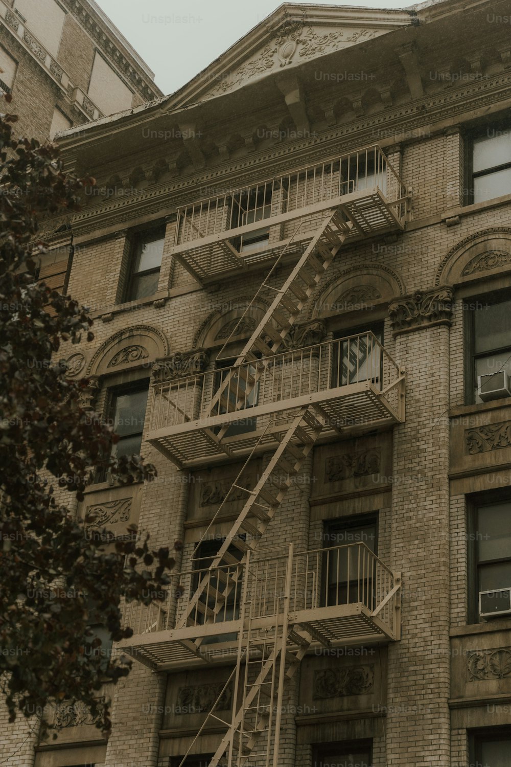 a building with balconies and a tree in front of it