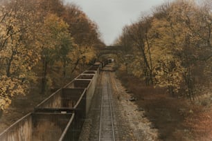 una vía de tren con árboles a ambos lados de ella