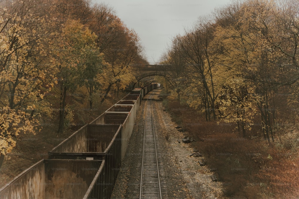 a train track with trees on either side of it