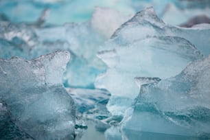 icebergs in the water