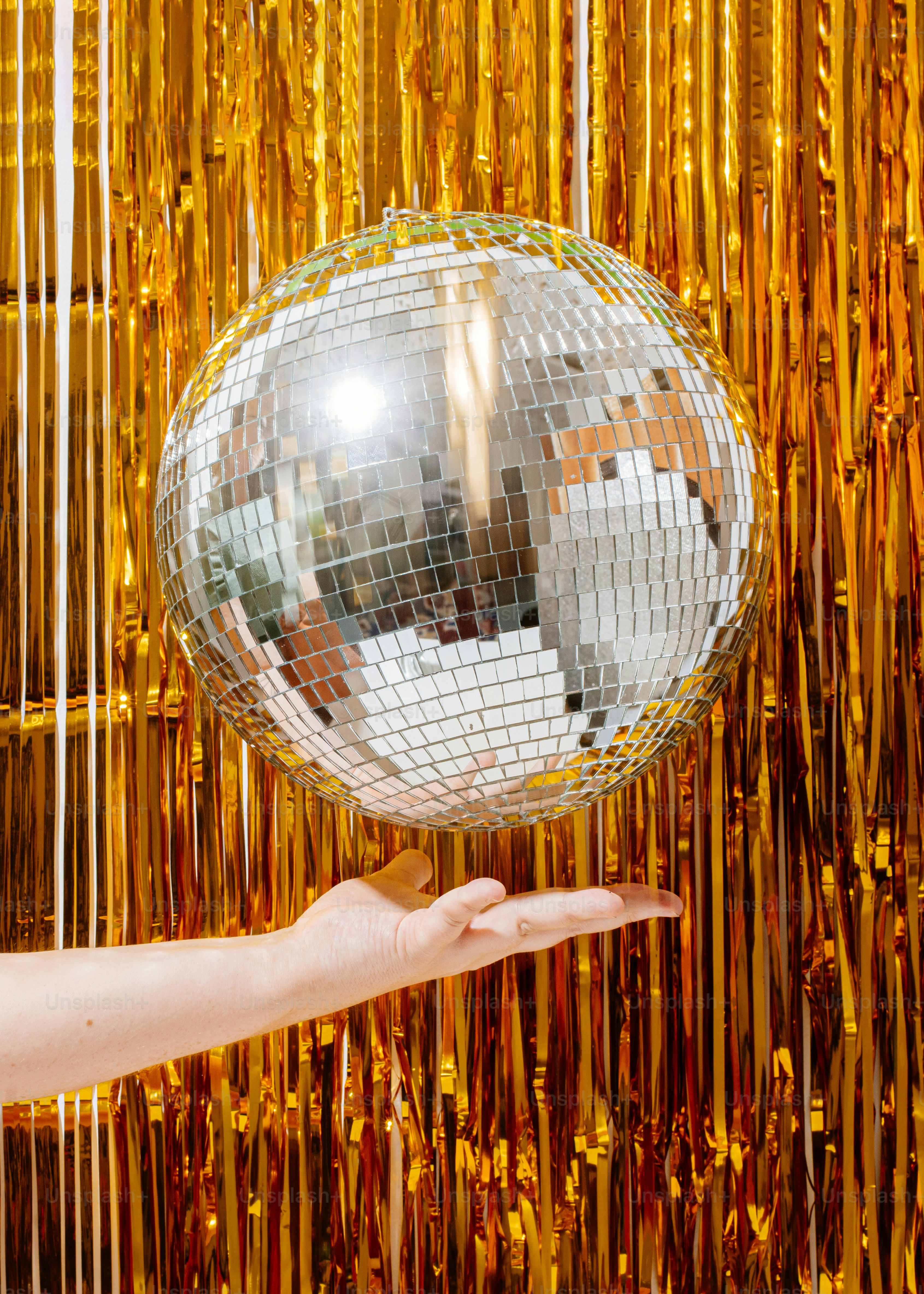 檻の中のハムスター