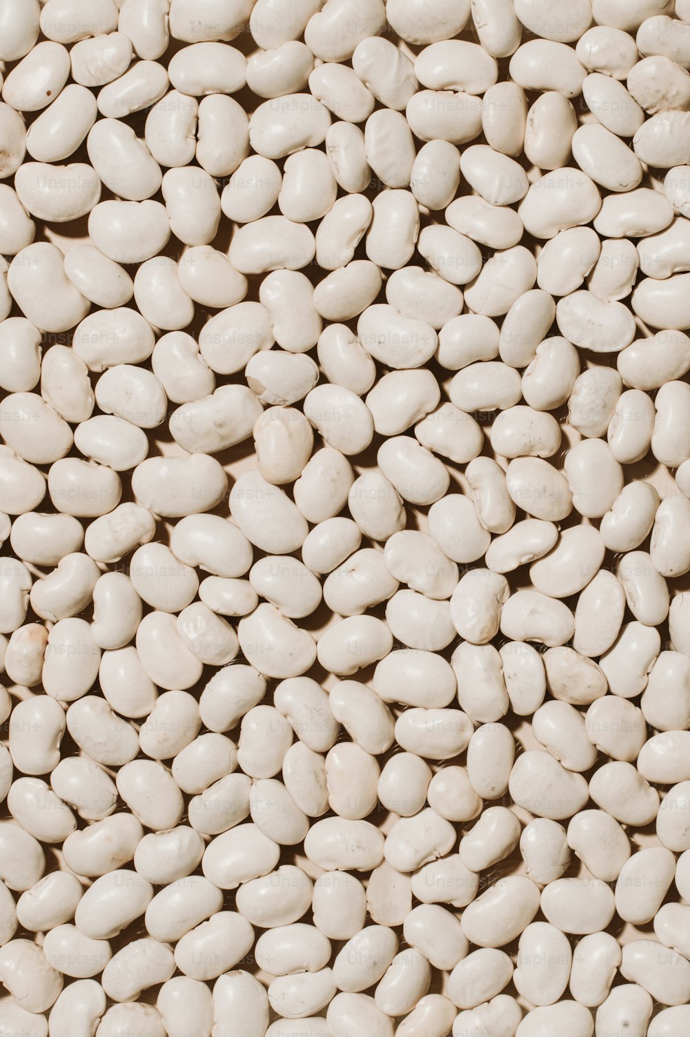 a large pile of white beans
