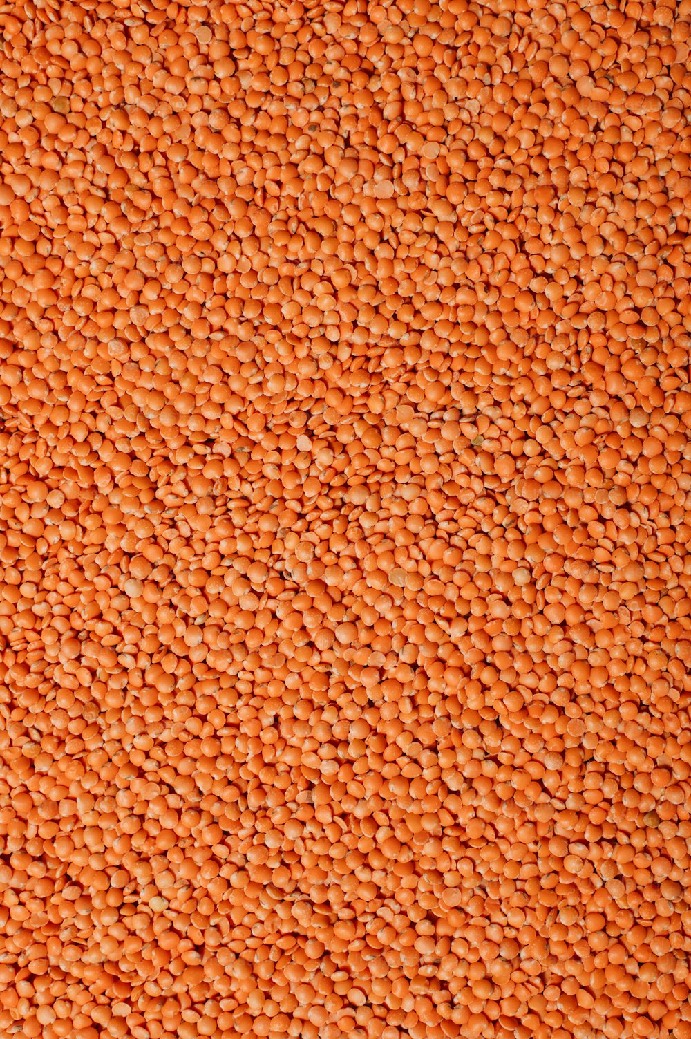 a large pile of grains