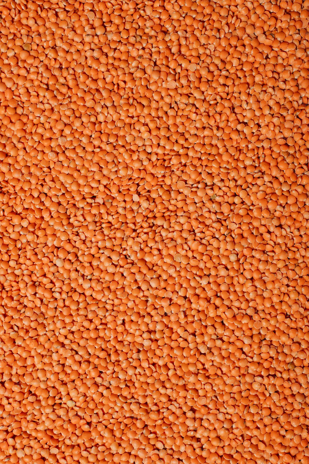 a large pile of grains