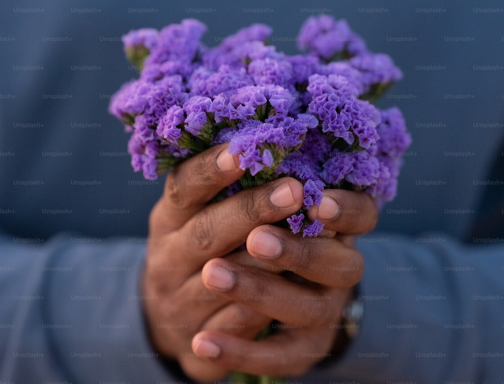 Eine Person, die einen Strauß lila Blumen hält