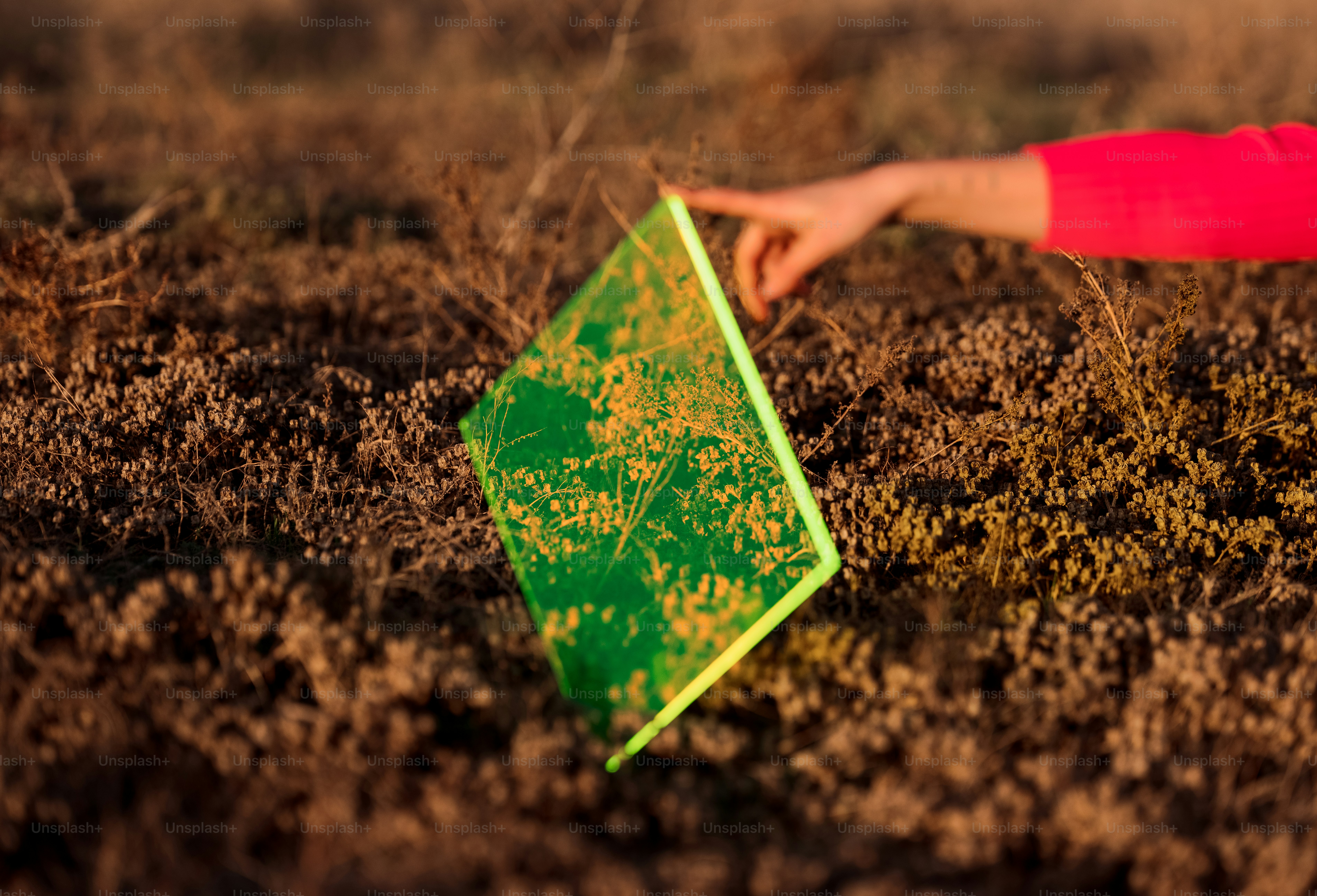 a hand holding a green box