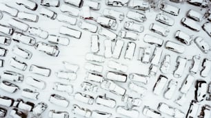 Muchos coches que están cubiertos de nieve