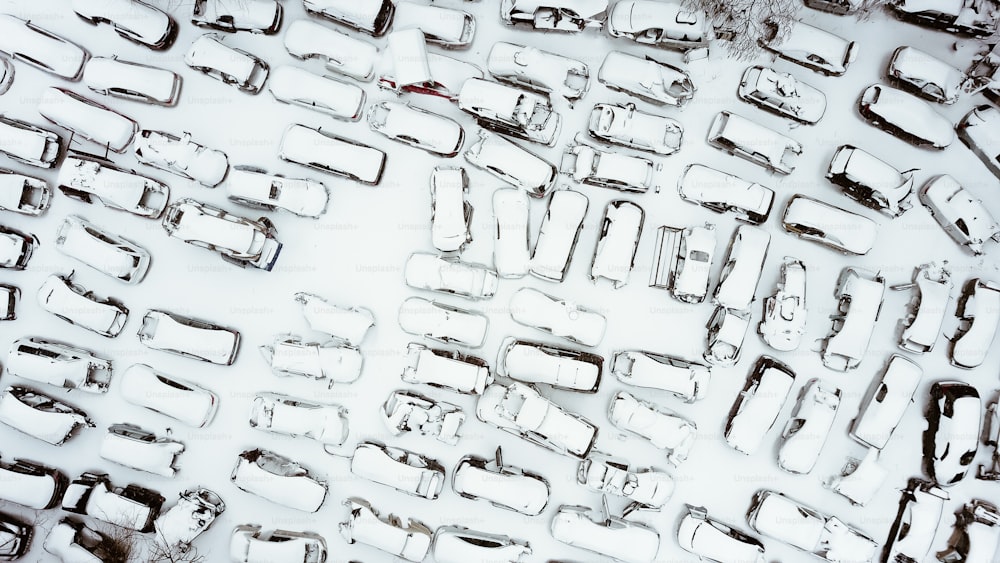 雪に覆われた車がたくさん
