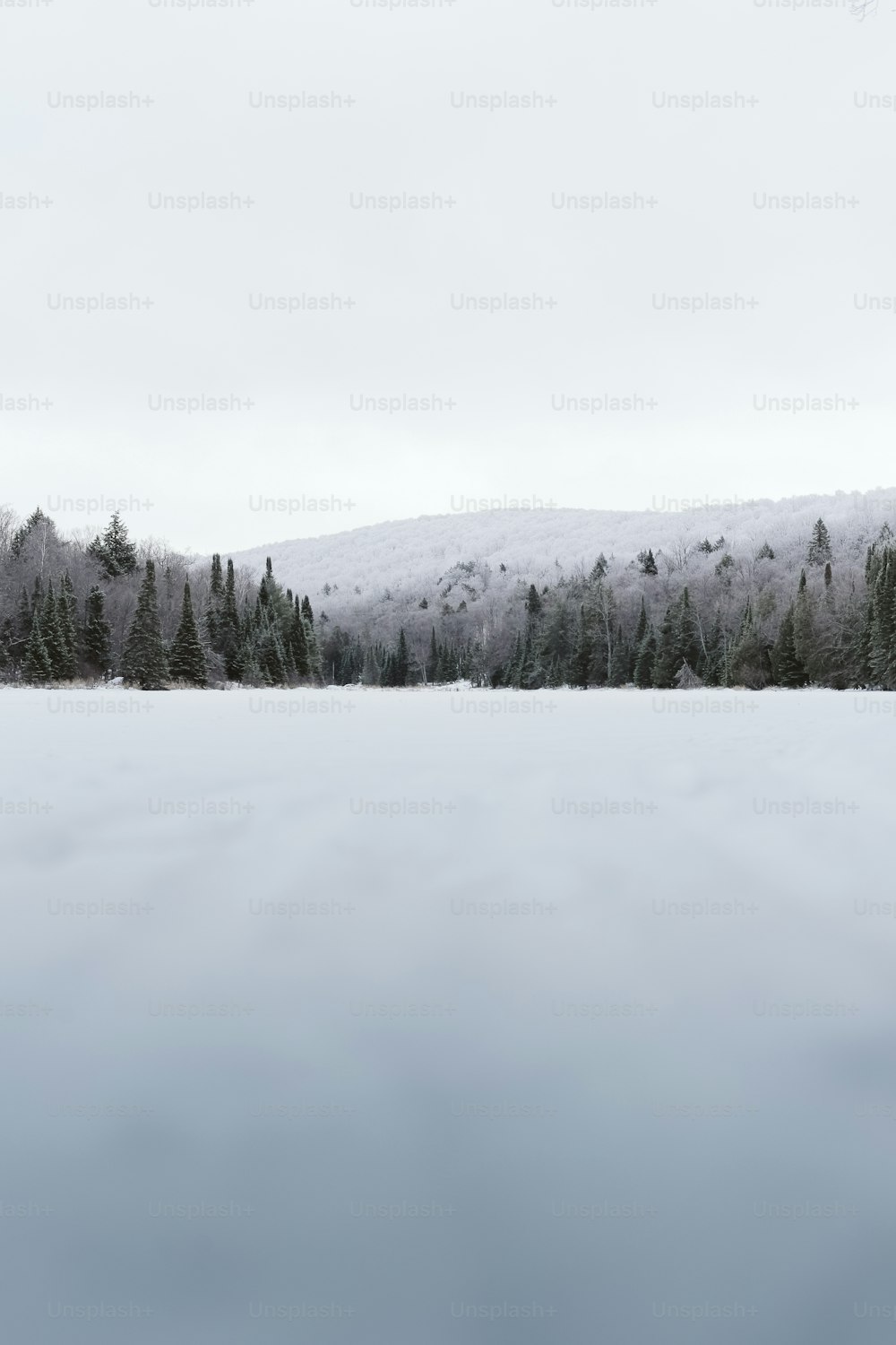 ein schneebedeckter See, umgeben von Bäumen