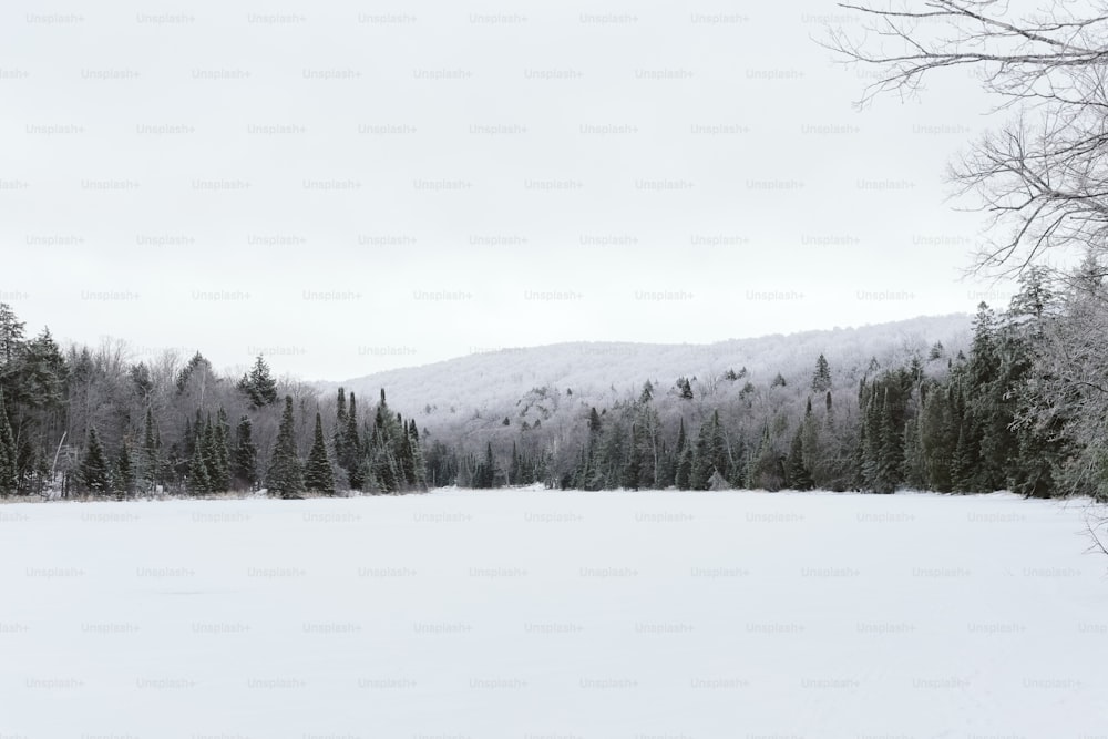 a snow covered field with trees and mountains in the background