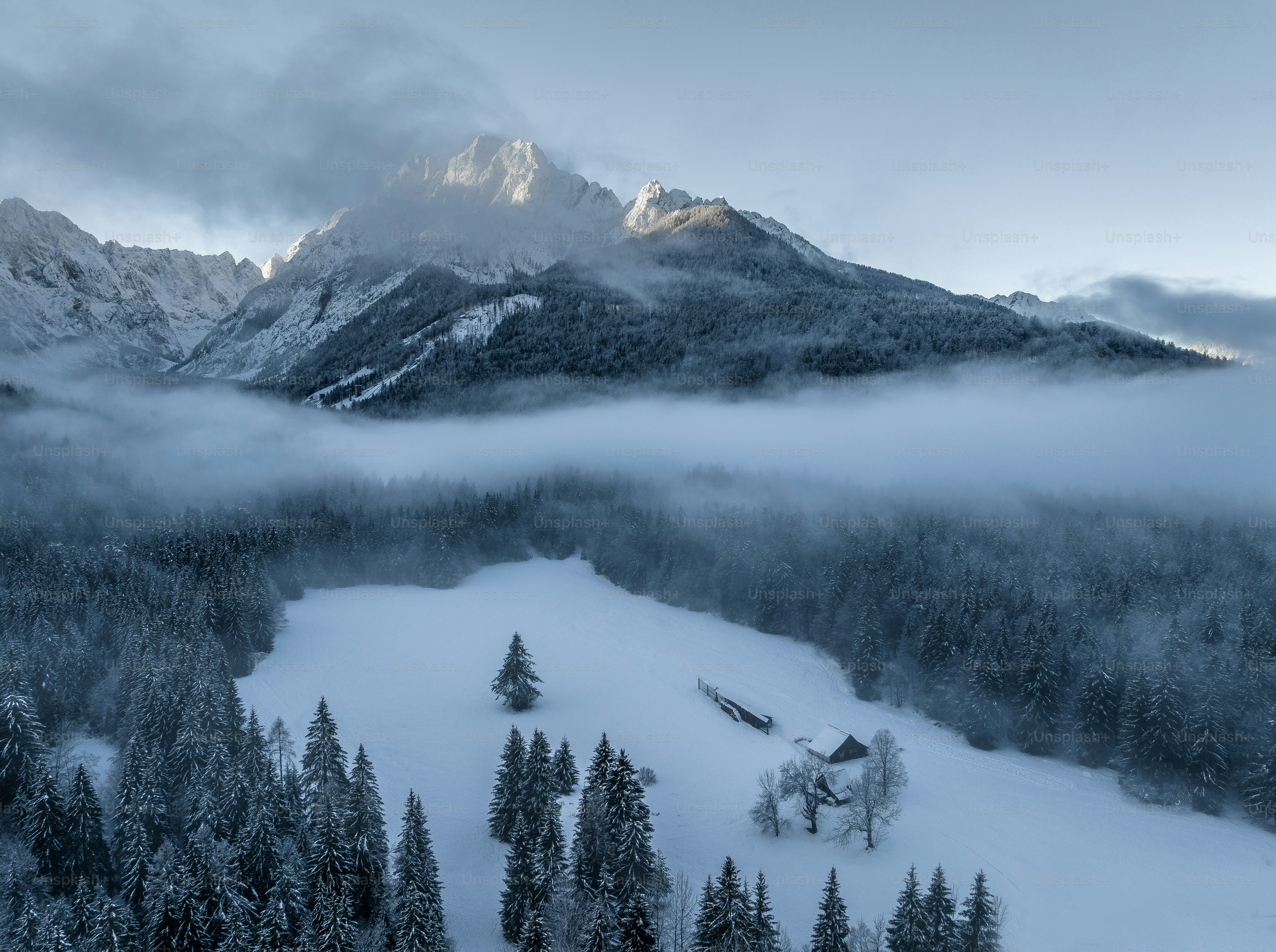 A view of a mountain range covered in snow photo – Forest Image on Unsplash