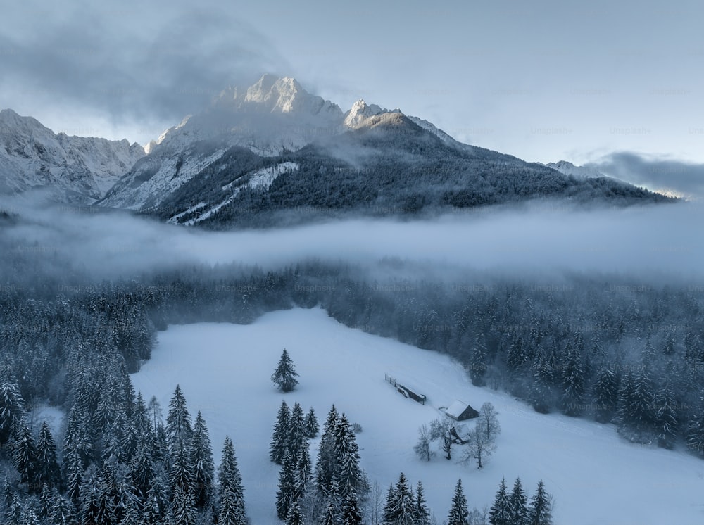 Una montagna coperta di neve e circondata da alberi