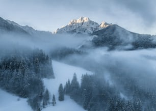 a mountain covered in snow with trees in the foreground