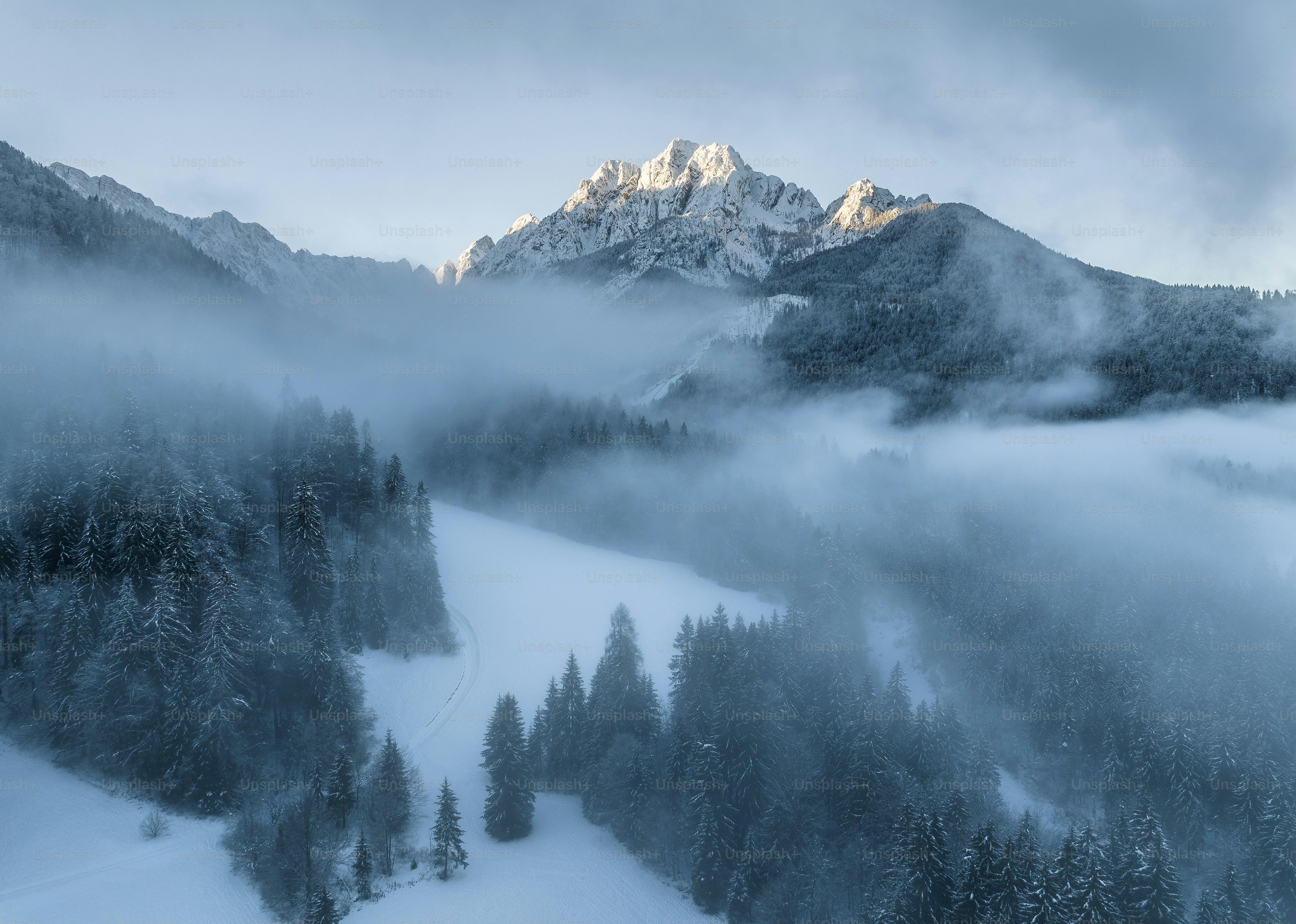 Mist in the winter forest below a prominent mountain.