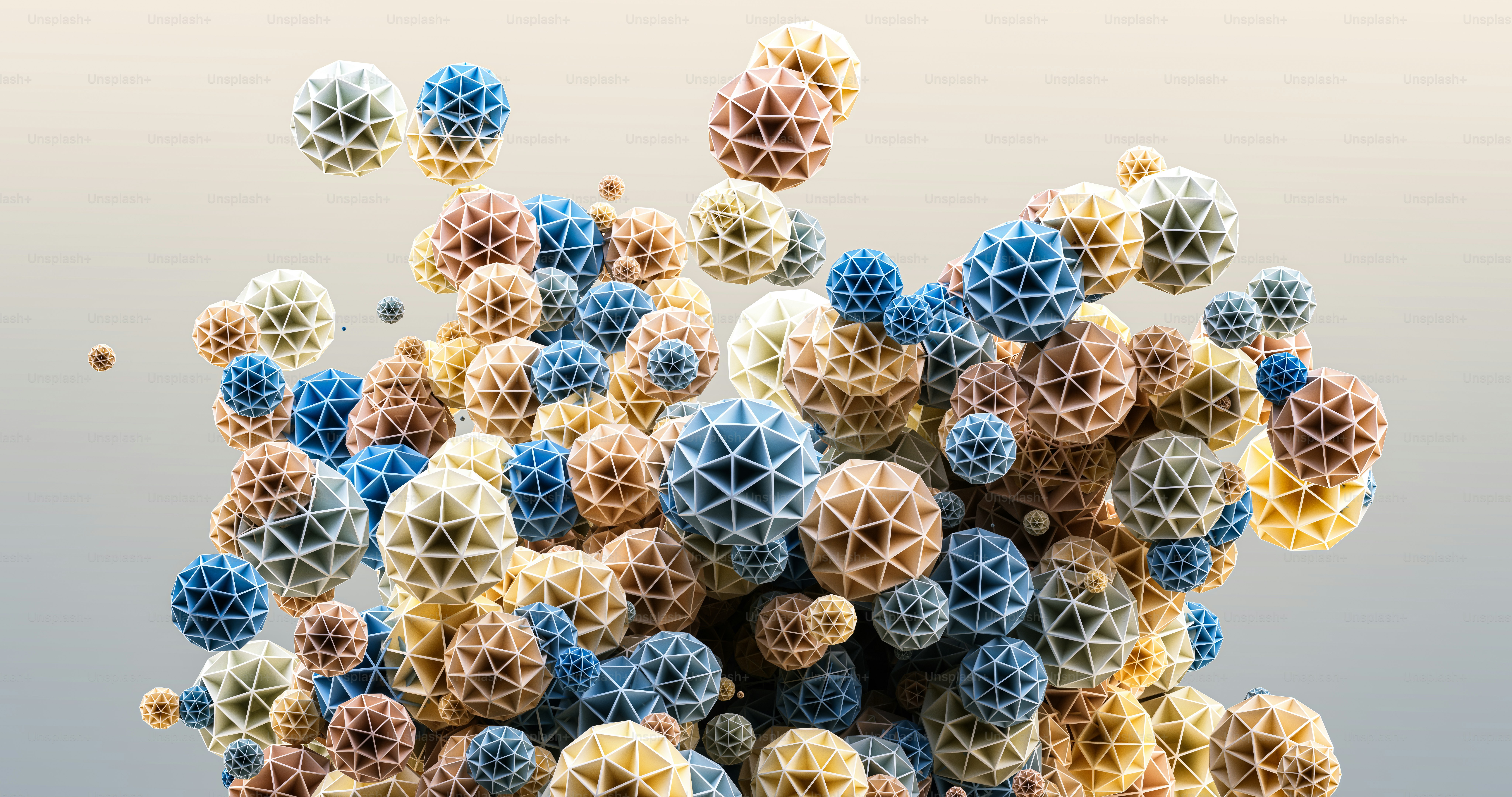 A group of colorful shells photo – Wallpaper Image on Unsplash