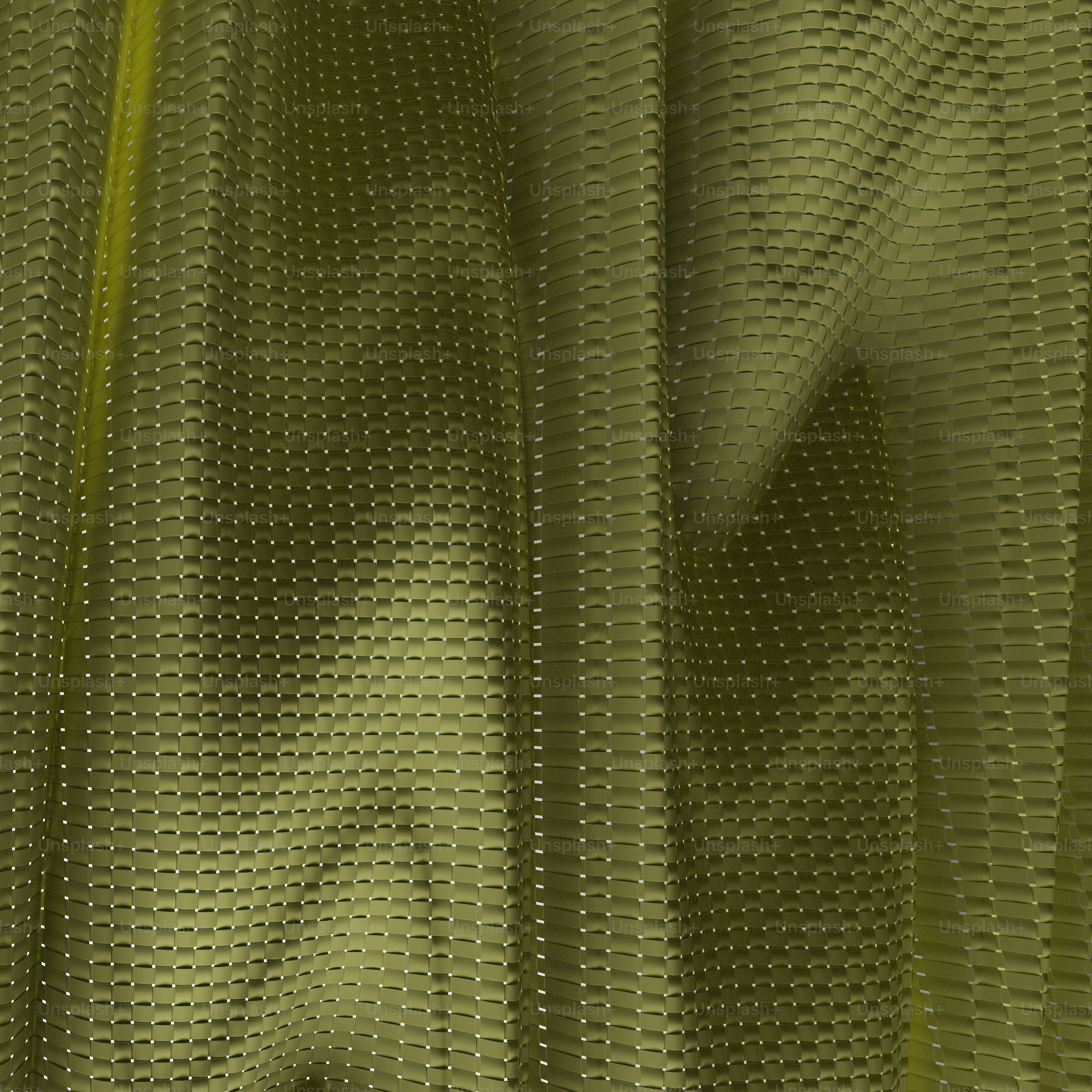 a close up of a leaf