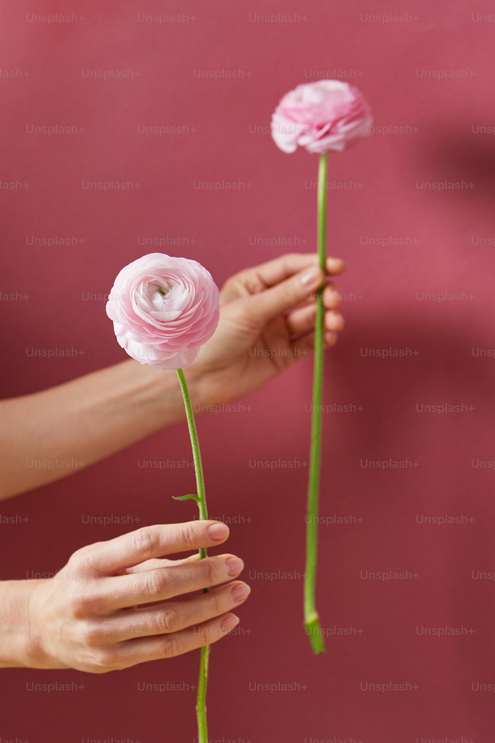 a person holding a couple of roses