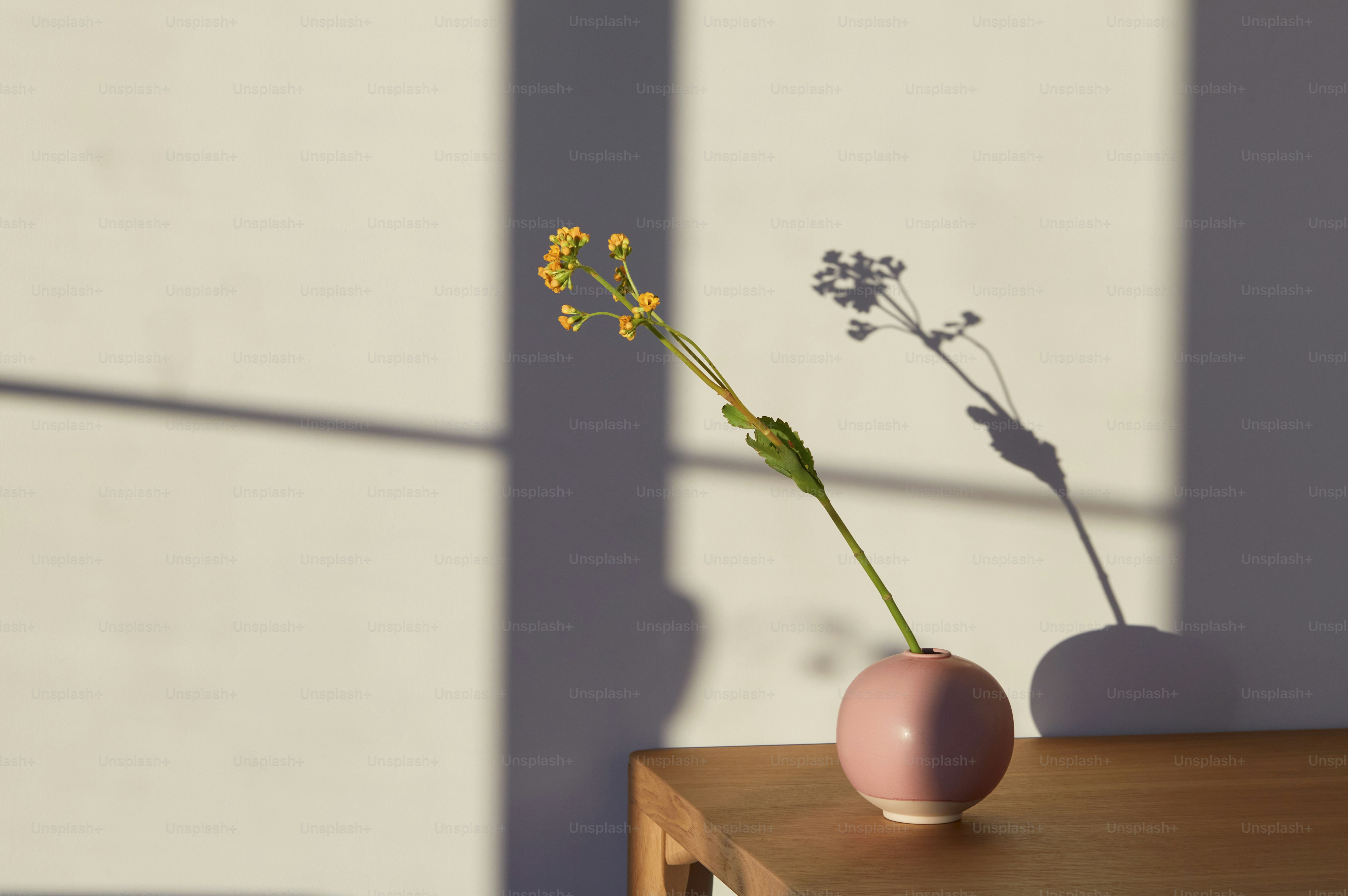 a vase with flowers