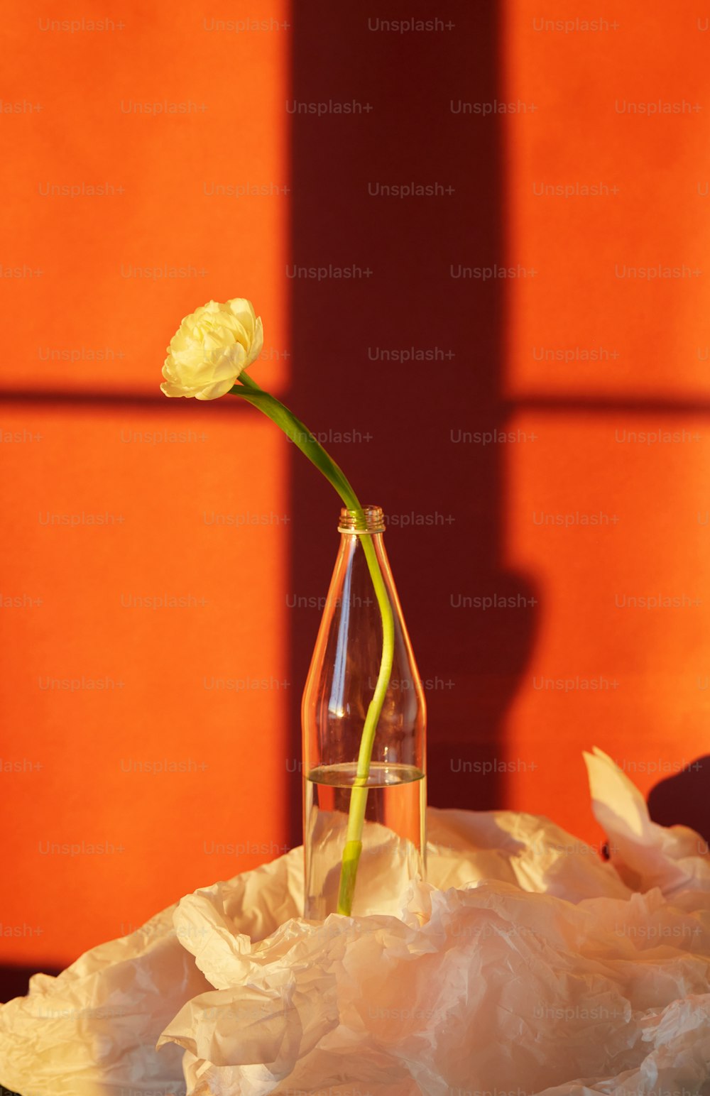 une rose jaune dans un vase