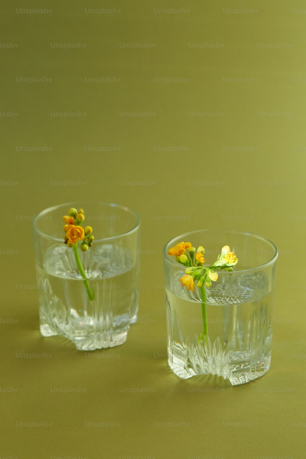 a couple of glass vases with flowers in them