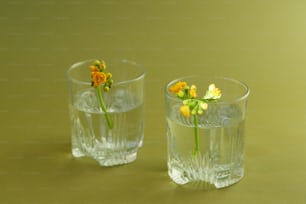 Un par de jarrones de vidrio sostienen flores