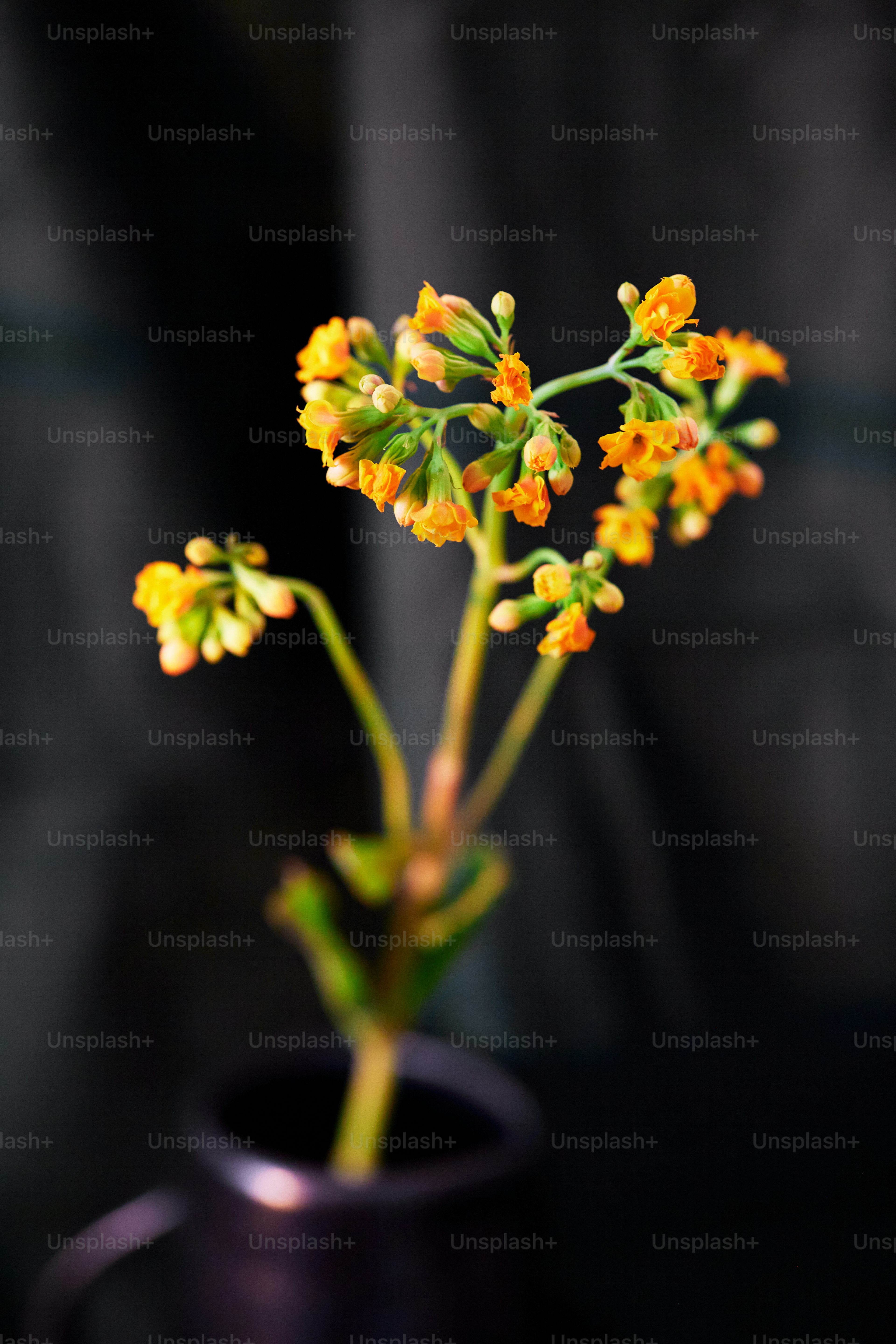 a vase with yellow flowers