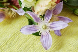 a close up of a flower