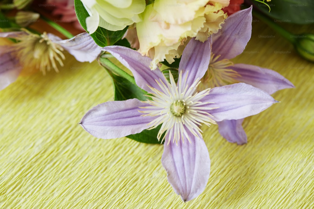 a close up of a flower