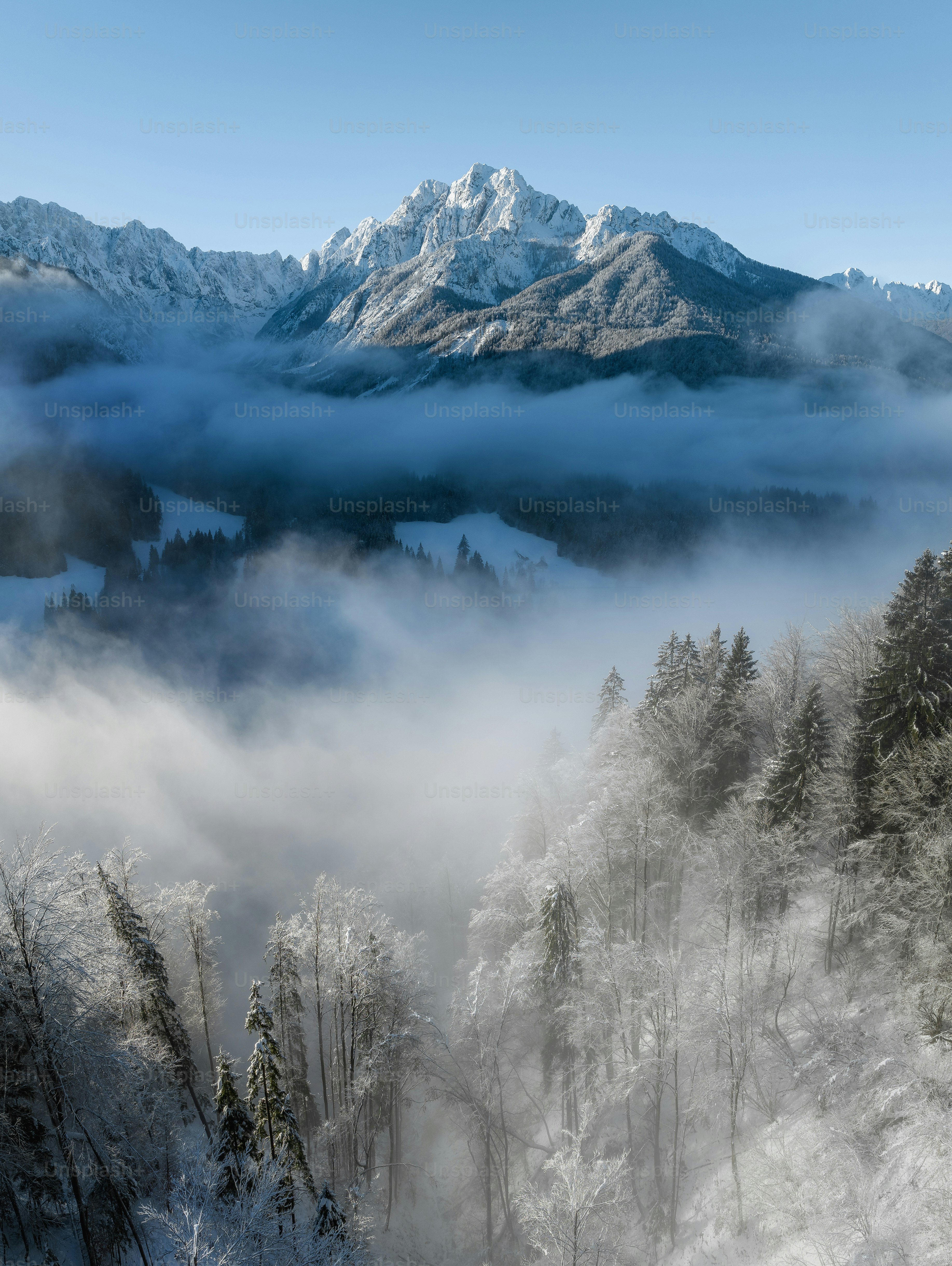 a snowy mountain with trees below